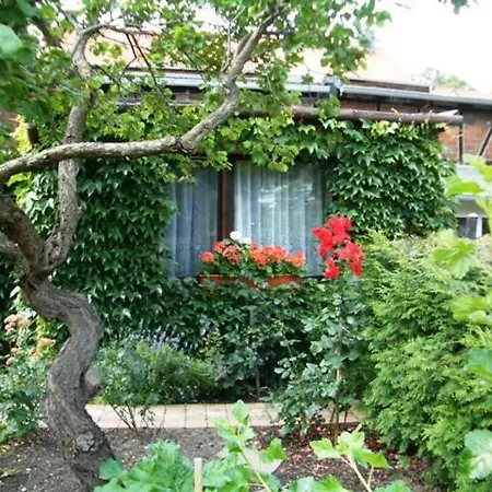Ferienhaus Nehri Holiday home *